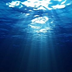 Really Cant ft zetty waperton