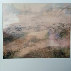 i Prelude and ii To Let the Grass Grow