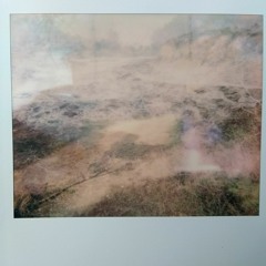 vi Dream Past the Stars - To Let the Grass Grow