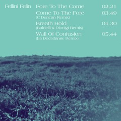 PREMIERE : Fellini Félin - Breath Hold (Baldelli & Dionigi Remix)