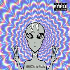 KT x NOTORIOUS BITCH - FUCK IT UP