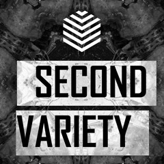 DJ VOXEL - Second Variety
