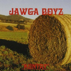 Jawga Boys- All The Girls Wanna Ride