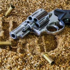#21 - Guns in Society