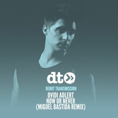 Ovidi Adlert - Now Or Never (Miguel Bastida Remix)