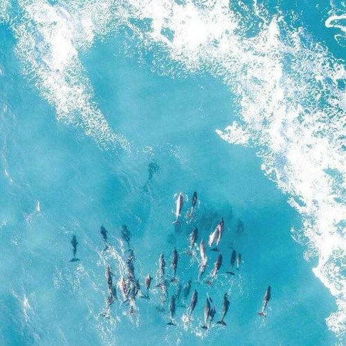 全中文慢搖2018♥思念是一把刀#你就不用想起我#不想#桃花諾♥.mp3