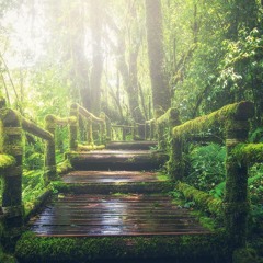 Jungle Meditation | Relaxing, Nature, Yoga, Background Music, New Age, Ambient
