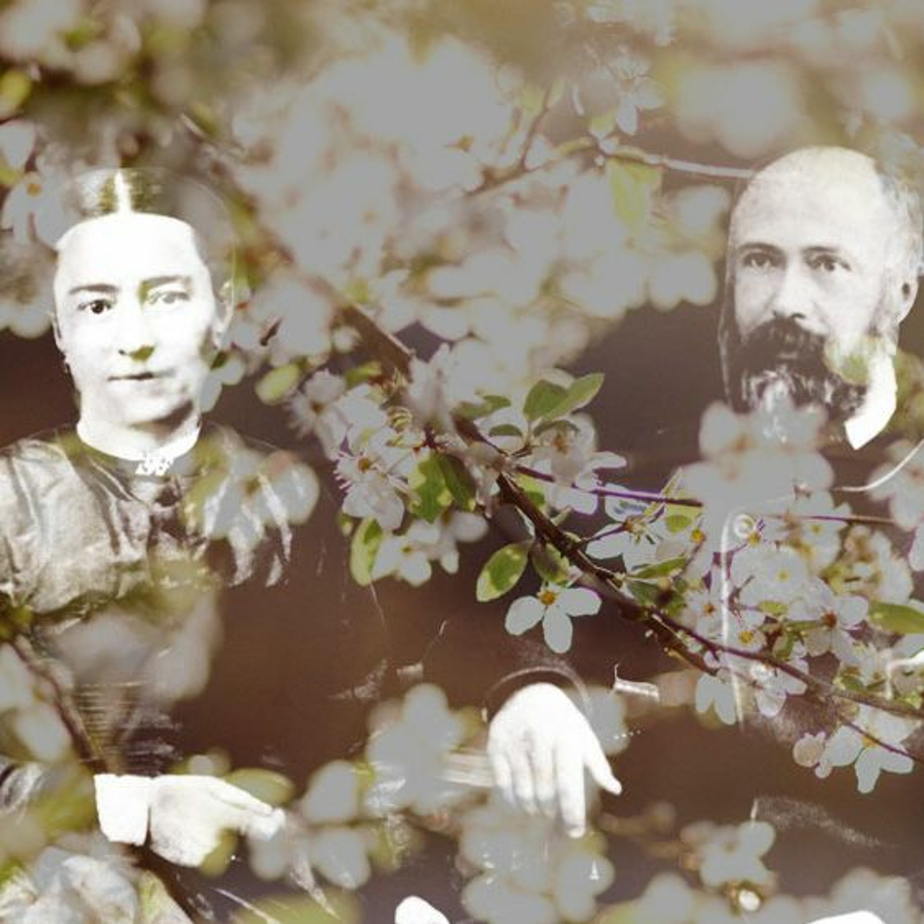 Le sacrement de mariage de Louis et Zélie (le bon vin des noces de Cana)