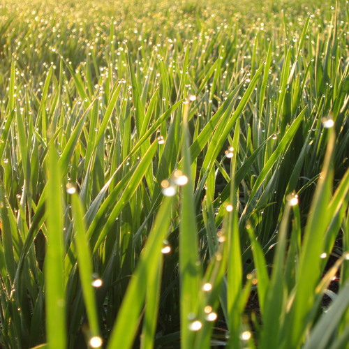 Devianprod Onconfusingrails