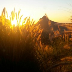 While It Sets