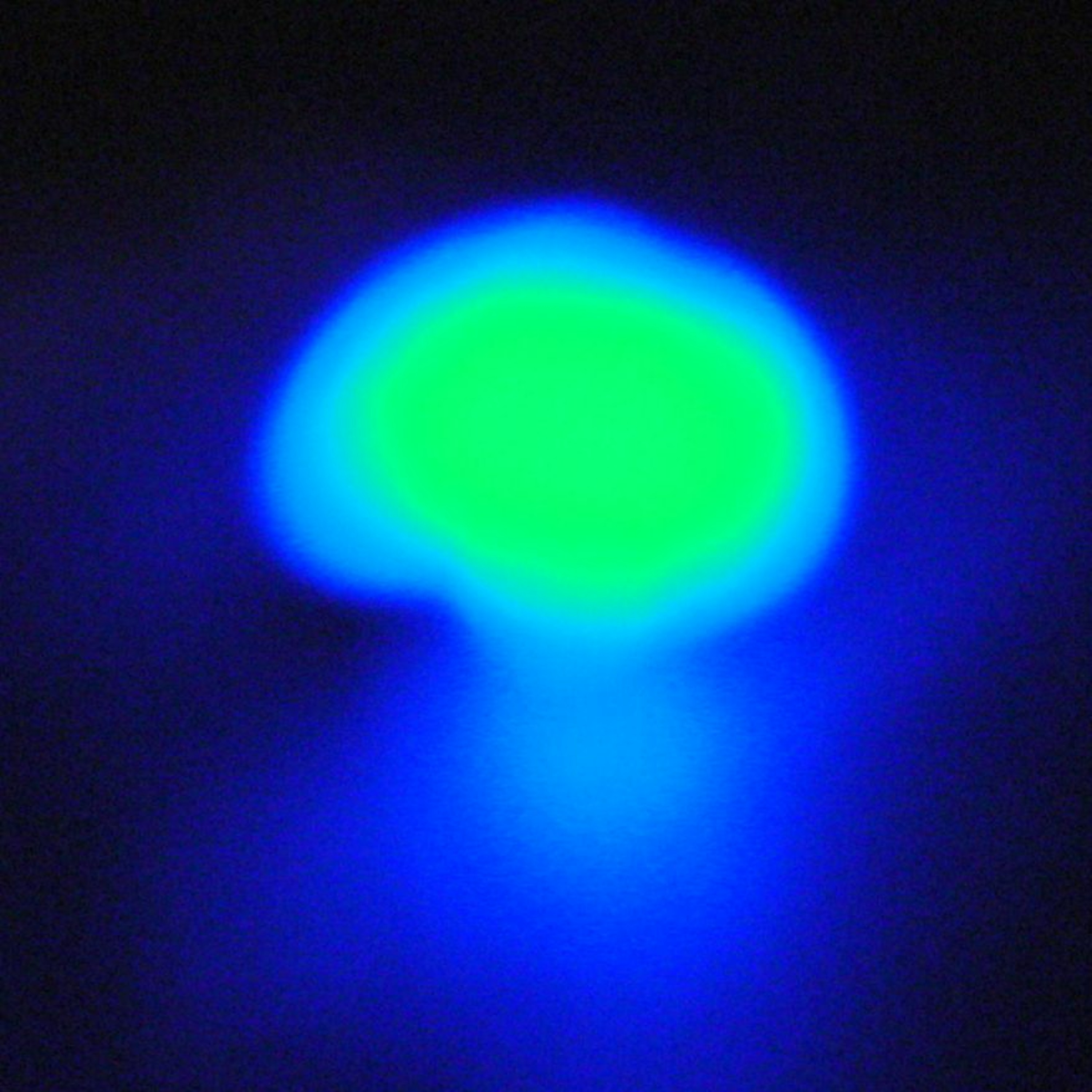 Audraulic