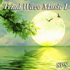 Soul Searching w Triad Wave 4min