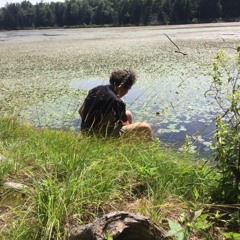 Underwater pond insects, Savoy Mountain State Forest