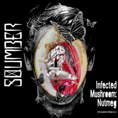 Infected Mushroom - Nutmeg (Soumber Remix)