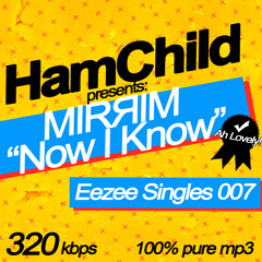 MIRЯIM - Now I Know