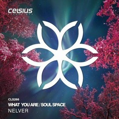 Nelver - Soul Space