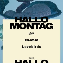 23.07.2018 Lovebirds@SUOL Hallo Montag /Ipse, Berlin