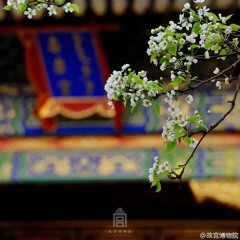 Cung Tường Liễu - Lý Xuân ÁiDiên Hy Công Lược OST 宮牆柳 - 李春嬡延禧攻略插曲