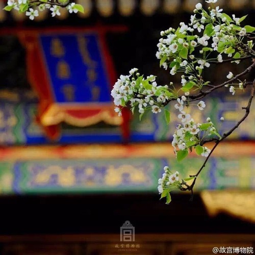 Cung Tường Liễu - Lý Xuân ÁiDiên Hy Công Lược OST 宮牆柳 - 李春嬡延禧攻略插曲