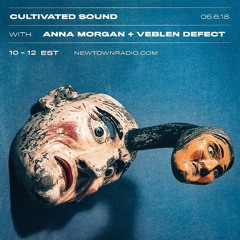 Cultivated Sound Newtown Radio 014: Anna Morgan+ Veblen Defect