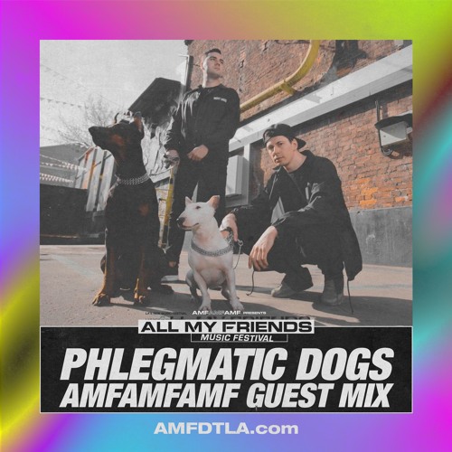 Phlegmatic Dogs - AMFAMFAMF Guest Mix
