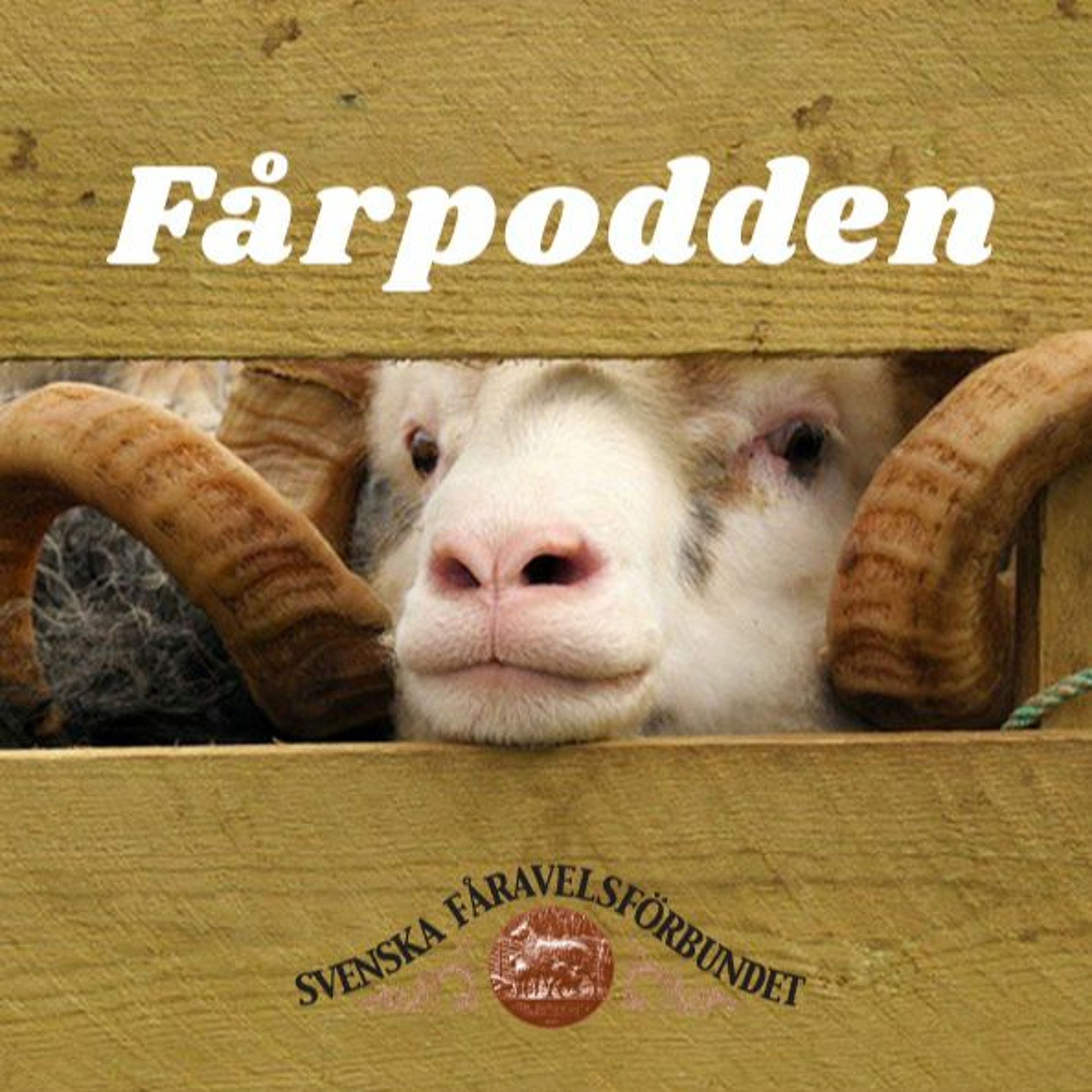 Svenska Fåravelsförbundet