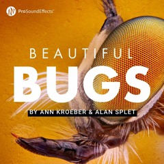 Beautiful Bugs - Demo
