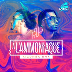 A l'ammoniaque- Dj Snakes Kizomba Remix