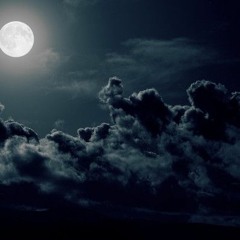 REALS - NIGHTS OUT FREESTYLE