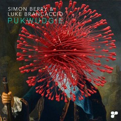 Simon Berry & Luke Brancaccio 'Pukwudgie' (Barry Jamieson's Mono Electric Orchestra Remix) PLATIPUS