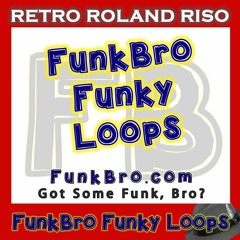 FUNKBRO FUNKY LOOPS