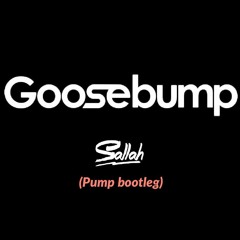 Travis Scott - Goosebumps  (Sallah Pump Bootleg)