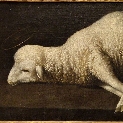 005. تفسير سفر اللاويين