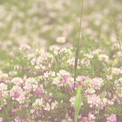 The Wax and the Water