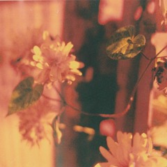 Maroon 5 - What Lovers Do ft.SZA (depuis Remix)