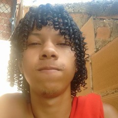 30 MINUTOS DO BAILE DO DICK 1 SO CORO LANÇAMENTO 2017 ( ( 2DPRODUCÃO ) ) 🎵 BRABAAAA