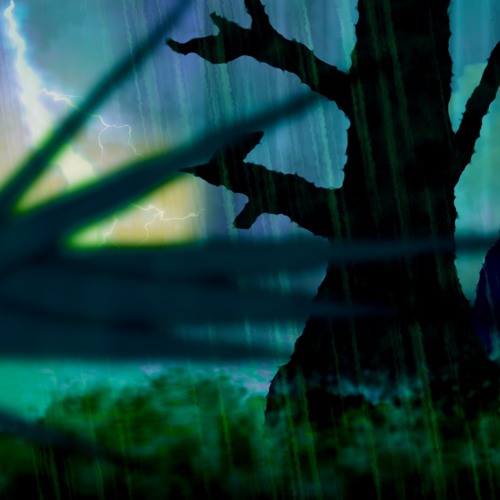 Forest Thunder & Rain (75 Minutes)