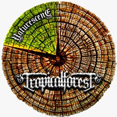 03 Tropical Forest - Nature Scene Feat Conrad Good Vibration