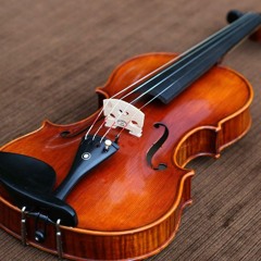 Violin