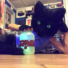 Hau5 K4t's No Chill Mix