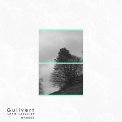 PREMIERE : Gulivert - 1001 Nights (Juan Remix) [Wildfang Music]