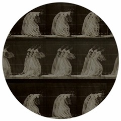 Timothy Clerkin - Knife Edge Heart (feat. Natalie Reiss)