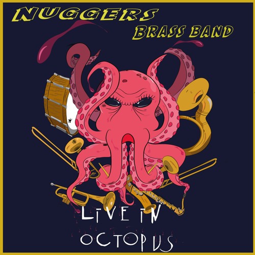 Nuggers Groove