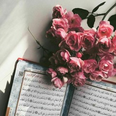 🌸الشيخ عمير شميم، سورة الحجر