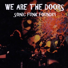 We Are The Doors