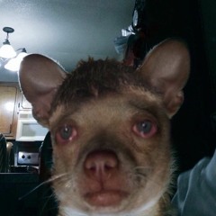 LETS PUT XANAX UP OUR ANUS TILL WE FALL ASLEEP/ BEENUT NEEDS SLEEP