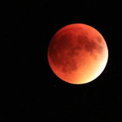 BLOOD MOON and Reclaiming Morality in the Kardashian-Era - PULL UP A CHAIR
