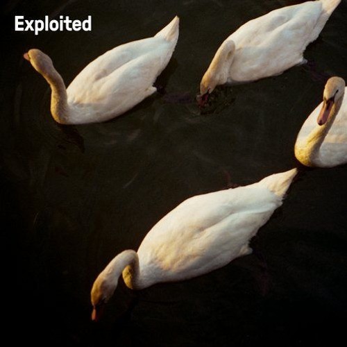 PREMIERE: T.U.R.F. - Bring Me Down [Exploited Records]