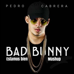 Bad Bunny - Estamos Bien (Pedro Cabrera Moombah Mashup) *Free download*