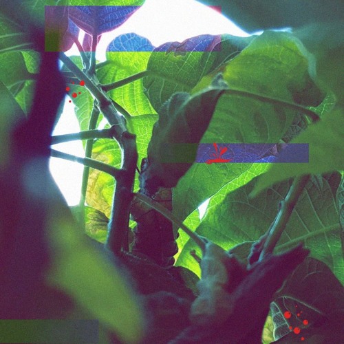 𝔡𝔢𝔪𝔬𝔫𝔰 𝔦𝔫 𝔪𝑦 𝔪𝔦𝔫𝔡 (ON SPOTIFY)